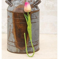 Foamy Tulip Bud Stem Pink & Green - The Fox Decor