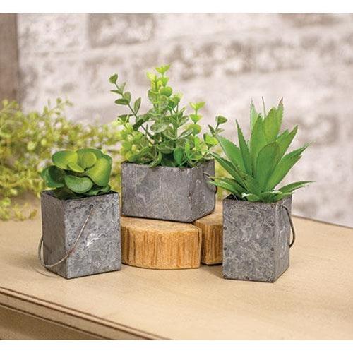 Ginger Succulent Pick - The Fox Decor
