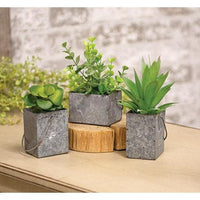 Ginger Succulent Pick - The Fox Decor