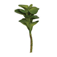Ginger Succulent Pick - The Fox Decor