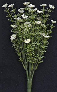 White Astilbe Bush 105 - The Fox Decor