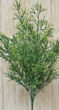 Asparagus Bush - The Fox Decor