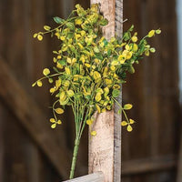 Bog Pimpernel Bush 12 - The Fox Decor