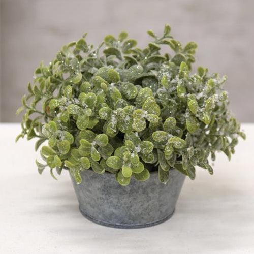 Icy Pebble Eucalyptus Half Sphere 8 - The Fox Decor