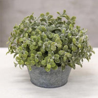 Icy Pebble Eucalyptus Half Sphere 8 - The Fox Decor