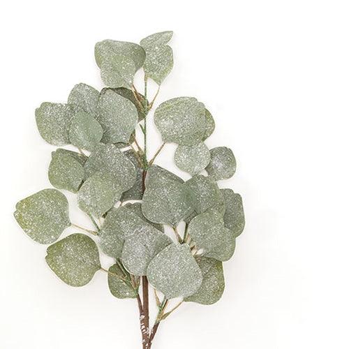 Frosted Dollar Eucalyptus Leaf Spray 29 - The Fox Decor