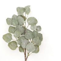 Frosted Dollar Eucalyptus Leaf Spray 29 - The Fox Decor