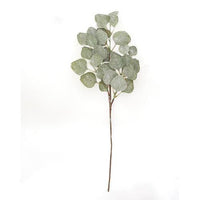 Frosted Dollar Eucalyptus Leaf Spray 29 - The Fox Decor