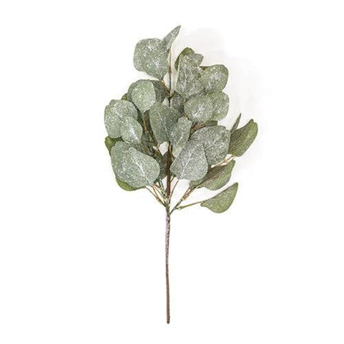 Frosted Dollar Eucalyptus Leaf Spray 19 - The Fox Decor