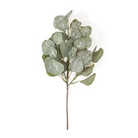 Frosted Dollar Eucalyptus Leaf Spray 19 - The Fox Decor