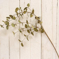 Penny Leaf Spray Dark Green 34 - The Fox Decor