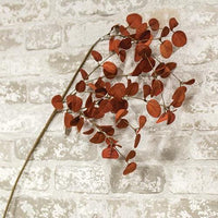 Penny Leaf Spray Red 34 - The Fox Decor