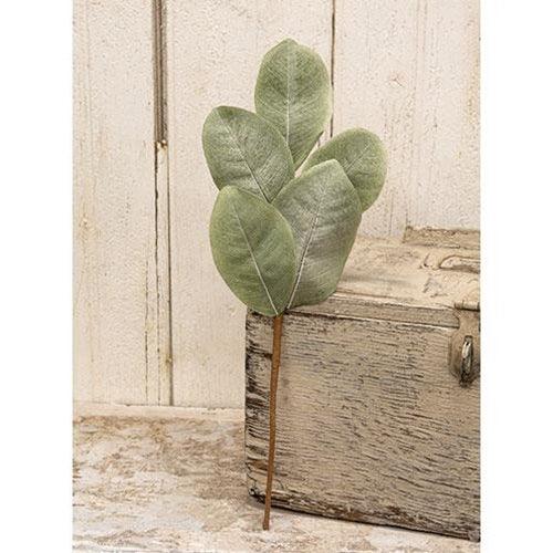 Cove Harbor Magnolia Pick 18 - The Fox Decor