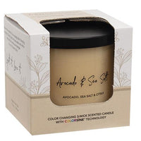 Avocado & Sea Salt Color Changing Candle 155oz - The Fox Decor
