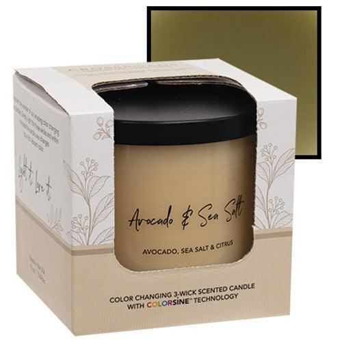 Avocado & Sea Salt Color Changing Candle 155oz - The Fox Decor