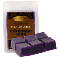 Black Raspberry Harvest Scent Cubes - The Fox Decor