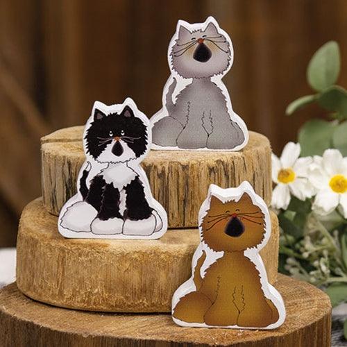 Chunky Kitty A 3 Asstd - The Fox Decor