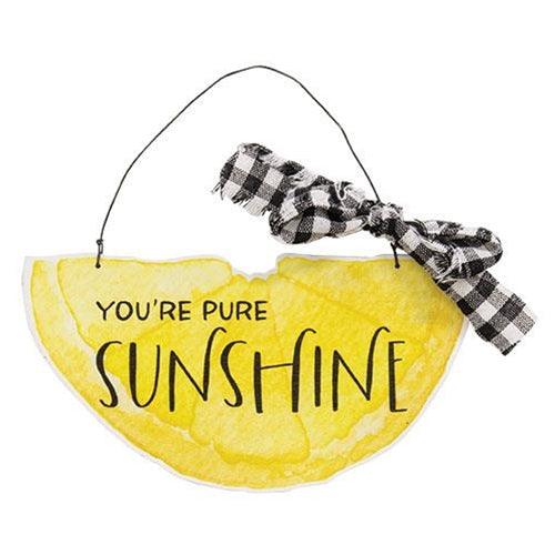 You're Pure Sunshine Hanging Sign - The Fox Decor