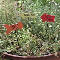 Garden Arrow Plant Poke 3 Asstd - The Fox Decor
