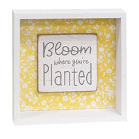 Bloom Where You're Planted Shadowbox Sign - The Fox Decor