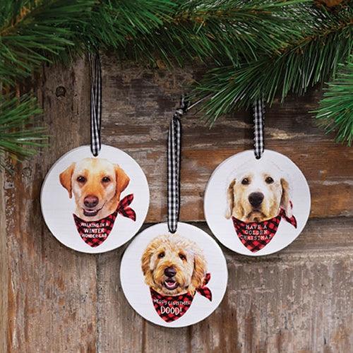 Winter Wonder-Lab Round Ornament 3 Asstd - The Fox Decor