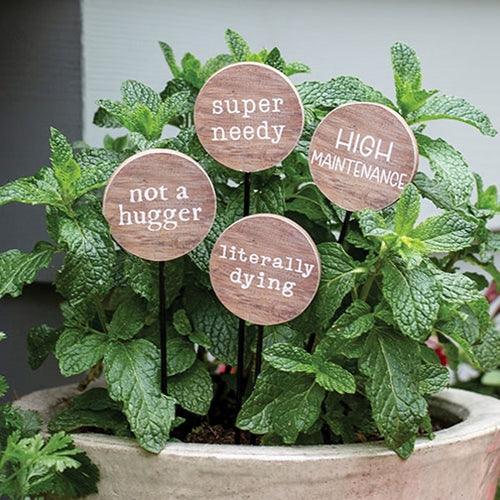 Super Needy Houseplant Poke 4 Asstd - The Fox Decor