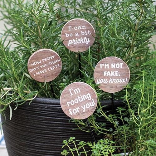 I'm Rooting For You Houseplant Poke 4 Asstd - The Fox Decor