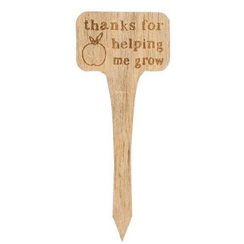 You're Stuck With Me House Plant Poke 4 Asstd - The Fox Decor