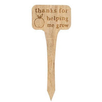 You're Stuck With Me House Plant Poke 4 Asstd - The Fox Decor