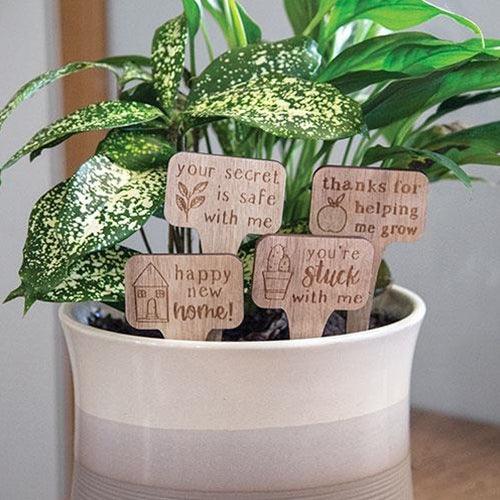 You're Stuck With Me House Plant Poke 4 Asstd - The Fox Decor