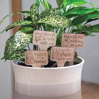 You're Stuck With Me House Plant Poke 4 Asstd - The Fox Decor
