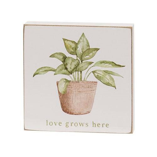 Love Grows Here House Plant Square Block 4 Asstd - The Fox Decor
