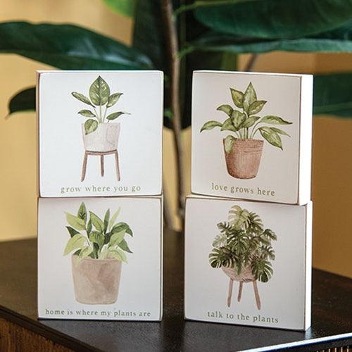 Love Grows Here House Plant Square Block 4 Asstd - The Fox Decor