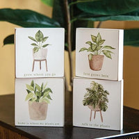Love Grows Here House Plant Square Block 4 Asstd - The Fox Decor