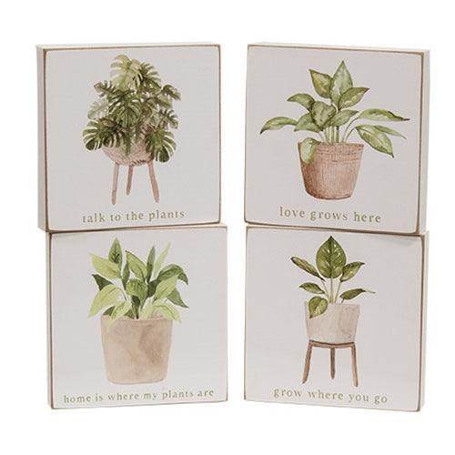 Love Grows Here House Plant Square Block 4 Asstd - The Fox Decor