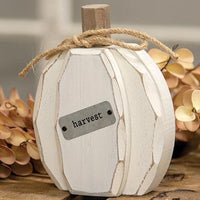 Cream Harvest Pumpkin Chunky Sitter - The Fox Decor