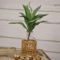 Glass Bottle In Seagrass Woven Sleeve - The Fox Decor