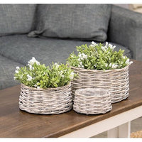 3/Set Graywashed Willow Planters - The Fox Decor