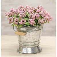 Galvanized Tin Pail w Handle - The Fox Decor