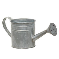 Natural Zinc Watering Can - The Fox Decor