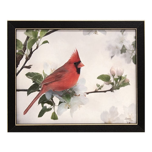 Spring Cardinal Framed Print 10x8 - The Fox Decor