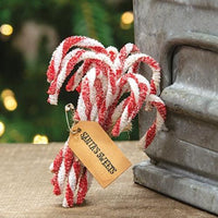 12 Set Sparkle Chenille Candy Canes - The Fox Decor