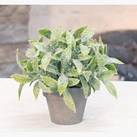 Icy Gatehouse Pot #3 6 - The Fox Decor
