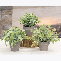Icy Gatehouse Pot #3 6 - The Fox Decor