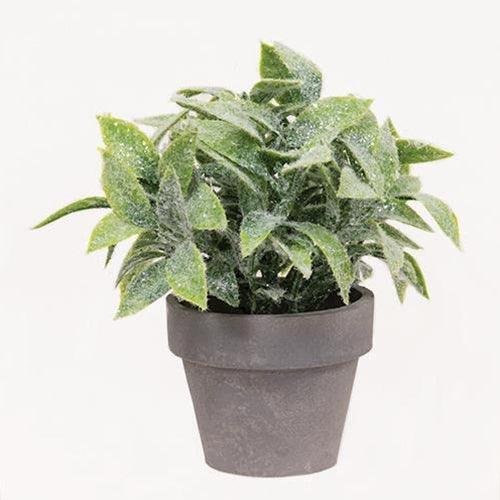 Icy Gatehouse Pot #3 6 - The Fox Decor