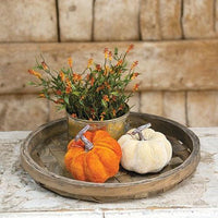 Velvet Orange Pumpkin - The Fox Decor