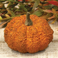 Hallows Pumpkin 3