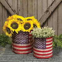 2 Set Americana Buckets - The Fox Decor