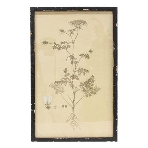 Headly Garden Botanical Print # 2 - The Fox Decor