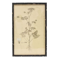Headly Garden Botanical Print # 2 - The Fox Decor